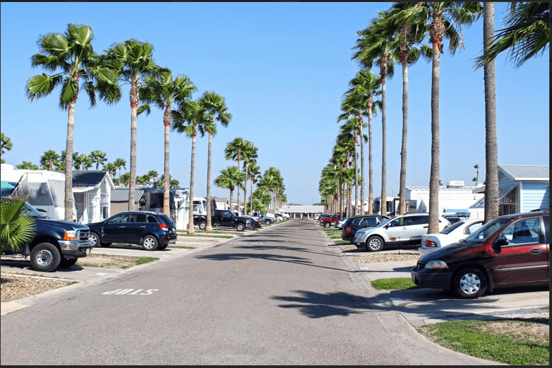 A sunny, palm tree-lined street in a residential area, with parked cars on both sides. The atmosphere is calm and inviting under a clear blue sky.